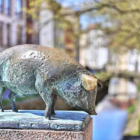 Ohlerich Speicher App_ 24 * Wißmar